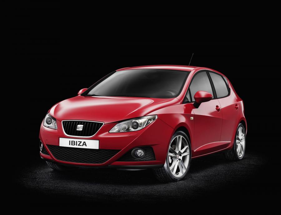  Seat Ibiza 2008 года  (фото 194 из 287)